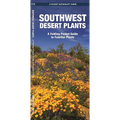 Southwestern Desert Plants: An Introduction to Familiar Species