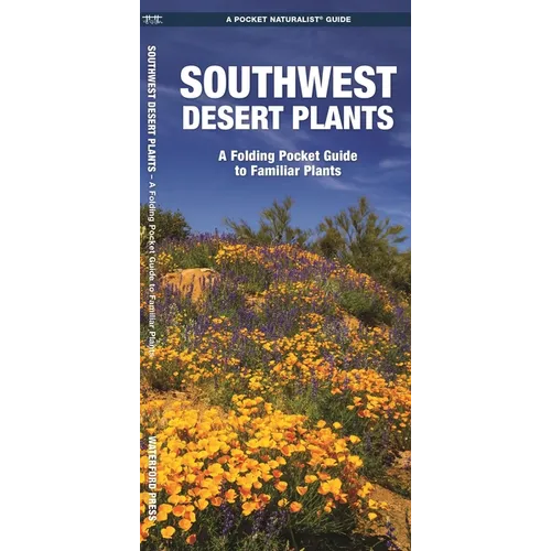 Southwestern Desert Plants: An Introduction to Familiar Species