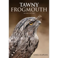 Tawny Frogmouth
