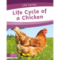 Life Cycle of a Chicken