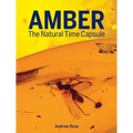 Amber: The Natural Time Capsule