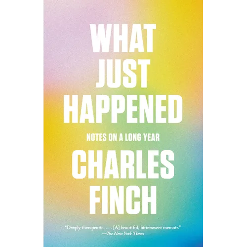 What Just Happened: Notes on a Long Year
