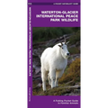 Waterton - Glacier International Peace Park Wildlife