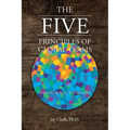 The Five Principles of Global Teams: Leading Across Boundaries