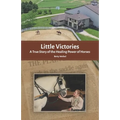 Little Victories: A True Story of the Healing Power of Horses