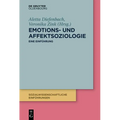 Emotions- Und Affektsoziologie: Eine Einführung