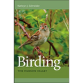 Birding the Hudson Valley