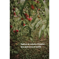 Cultivo de árboles frutales: Una guía para el jardín