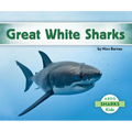 Great White Sharks
