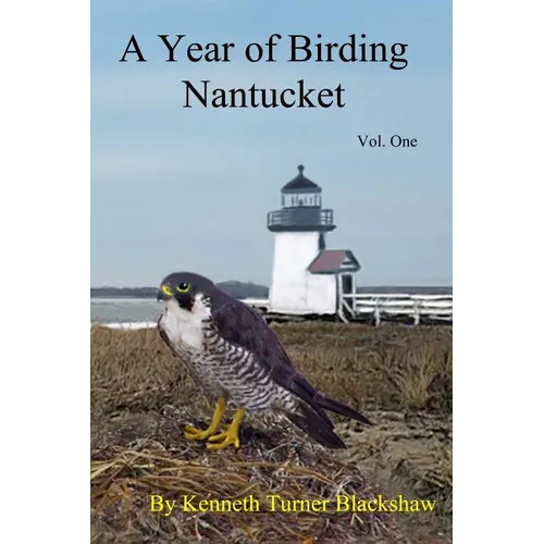 A Year of Birding Nantucket