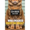ANIMALIBI - Who Knocked Over the Vase?: A whodunit for cat lovers, in full color. 100 adorable suspects, 10 cases, one guilty kitty.