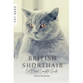 British Shorthair: Cat Breed Complete Guide