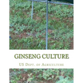 Ginseng Culture: Farmer's Bulletin 1184