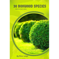 30 Boxwood species: Make the right choice