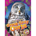 Great Gray Owls