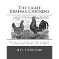 The Light Brahma Chickens (The Light Brahma Fowls): From the Shell to the Poultry Show and Exhibition Room