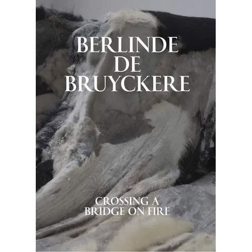 Berlinde de Bruyckere: Crossing a Bridge on Fire