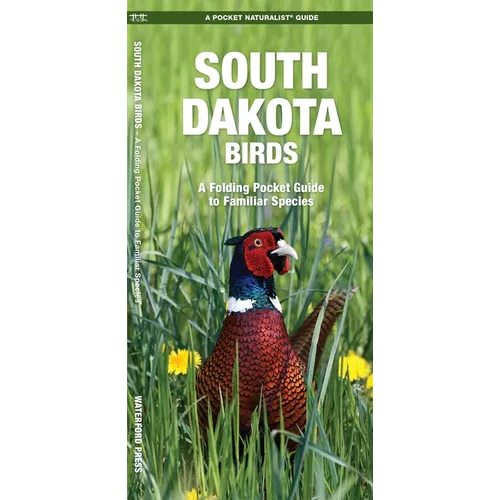 South Dakota Birds: A Folding Pocket Guide to Familiar Species