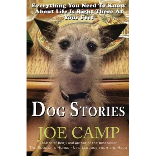 Dog Stories: Everything You Need To Know About Life Is Right There At Your Feet