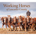 Working Horses of Lancaster County