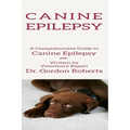 Canine Epilepsy: A Comprehensive Guide To Canine Epilepsy