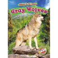 Gray Wolves