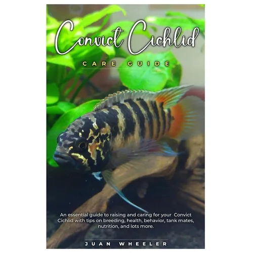 Convict Cichlid Care Guide: An essential guide to raising and caring for your Convict Cichlid with tips on breeding, health, behavior, tank mates,