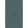 ESV Value Compact Bible (Trutone, Paris Sky, Branch Design)