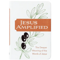 Jesus Amplified: The Deeper Meaning of the Words of Jesus