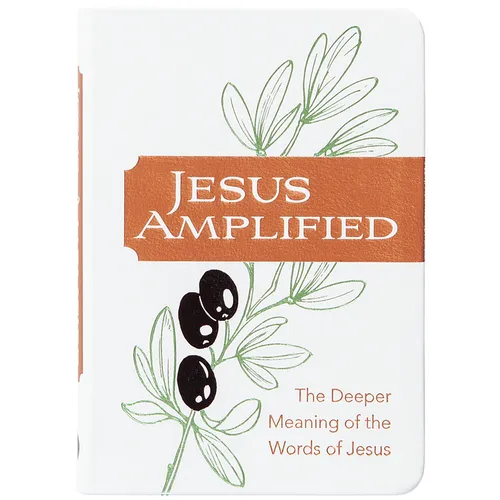 Jesus Amplified: The Deeper Meaning of the Words of Jesus