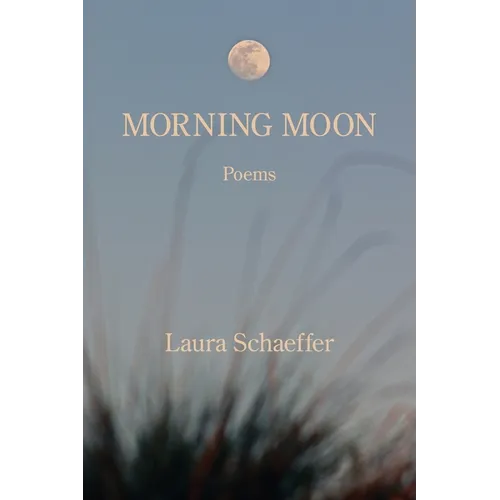 Morning Moon