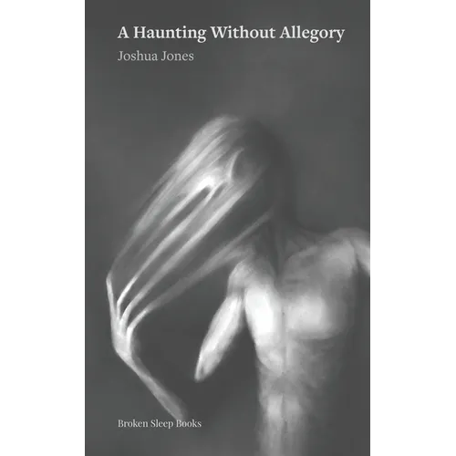 A Haunting Without Allegory