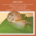Smells, Slime, and Other Gross Adaptations
