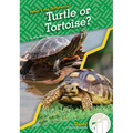 Turtle or Tortoise?