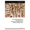 Evaluating Fungal Disease sInfecting Cocoyam (Xanthosoma Sagittifolium) in Different Storage Systems