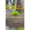 The Grass that Grows in Sidewalks