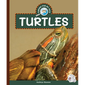 Turtles