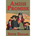 Amish Promise: A Sequel to Amish Dilemma