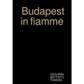 Budapest in fiamme