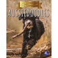 Aussiedoodles
