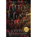 Little Lost Secrets, Large Print Edition