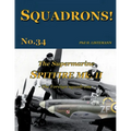 The Supermarine Spitfire Mk. II: The Foreign squadrons