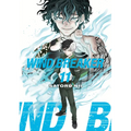 Wind Breaker 11