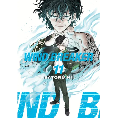 Wind Breaker 11