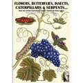 flowers, butterflies, insects, caterpillars & serpents...: From Sybilla Merian & Moses Hariss XVII-XVIII Centuries engravings
