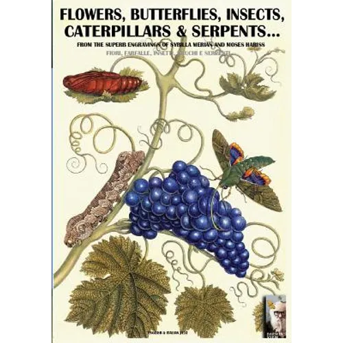 flowers, butterflies, insects, caterpillars & serpents...: From Sybilla Merian & Moses Hariss XVII-XVIII Centuries engravings