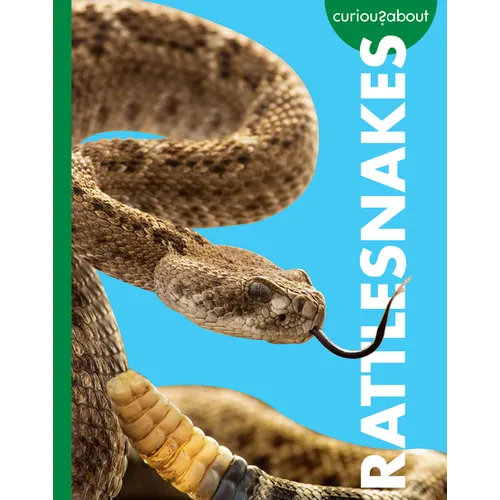Curious about Rattlesnakes