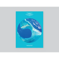 A Toolbox for Exuma, the Bahamas: Environmental Management, Design, and Planning