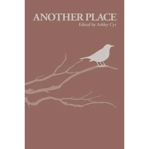 Another Place: Brief Disruptions