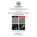 Activación de IL23A y represión de IL12A por metabolitos en la respuesta inmune Th17